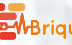 BRIQUES n°31